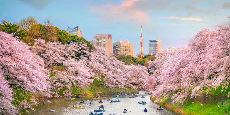 tokyo-parco