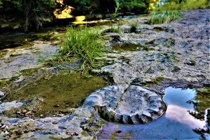 Excursion tips for the Swabian Alb: 15 special places