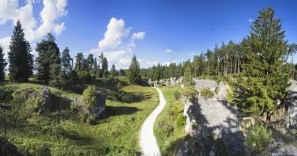 Im Wental auf der Schwäbischen Alb grasen steinerne Nilpferde.