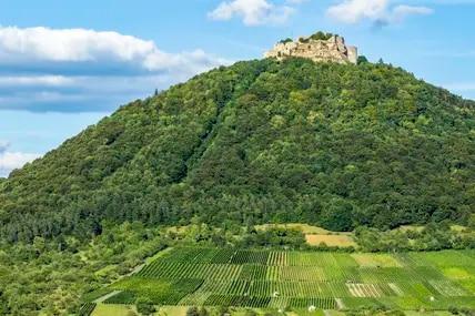 Früher konnte niemand die Festung erobern, heute sind Gäste auf der imposanten Burgruine Hohenneuffen gerne gesehen.
