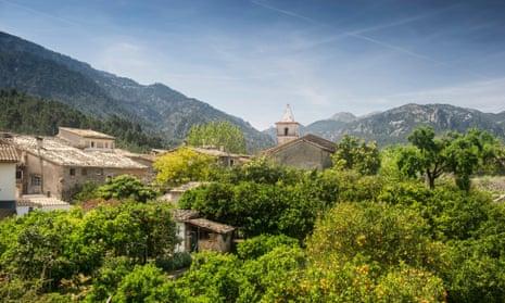 Lemon trees at Biniaraix, near Soller.